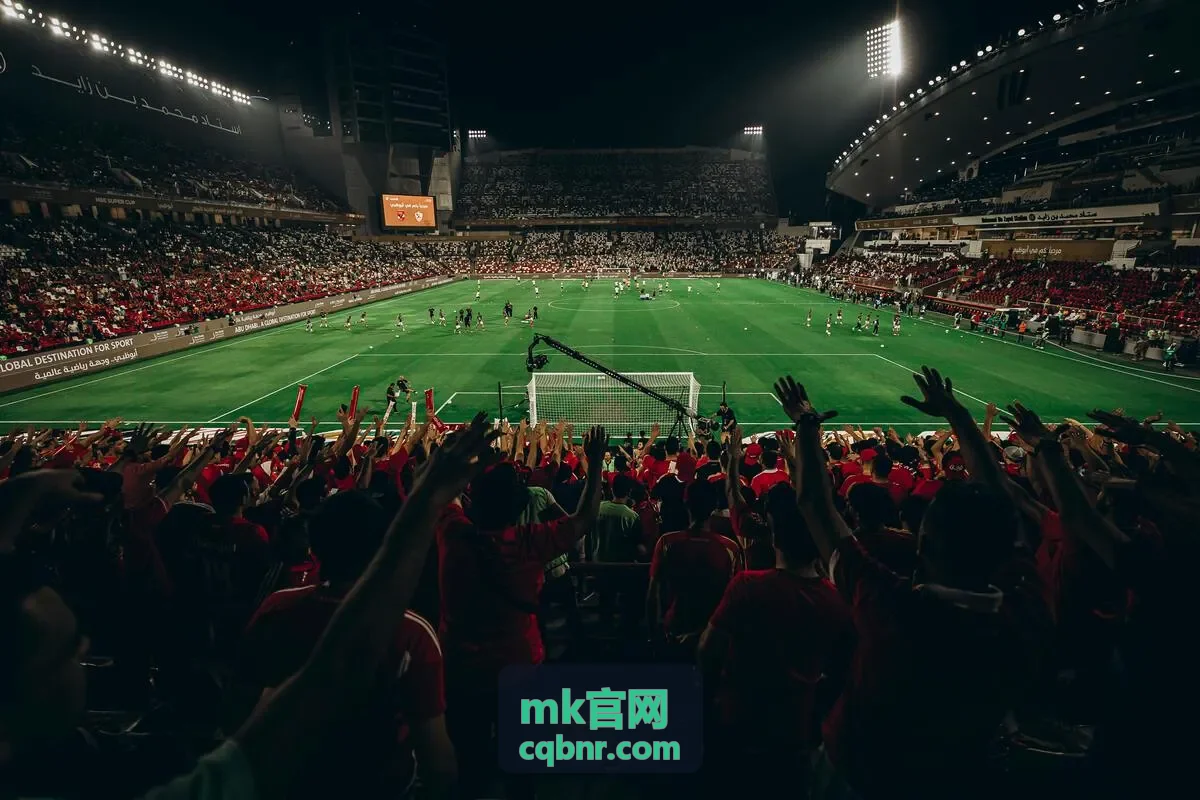 mk官网用户研究方向嘉宾苏芮